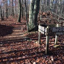 TrailMIX - Beaman Park